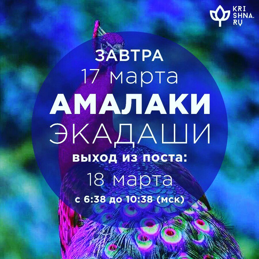 Амалаки Амалаки