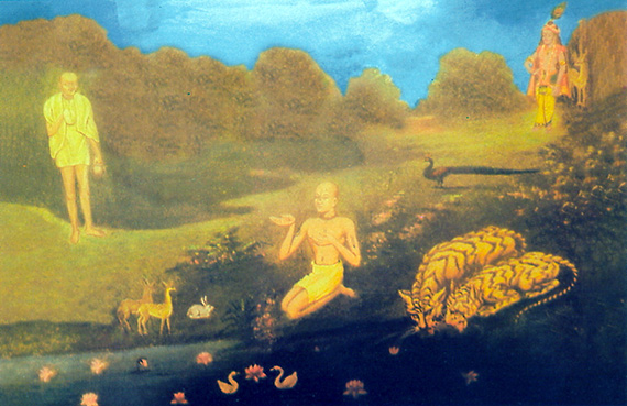 Кришна защищает Рагхунатху даса Госвами от тигра и тигрицы