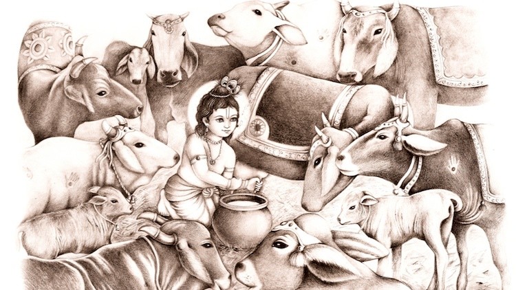 В Индии может появиться министерство коров