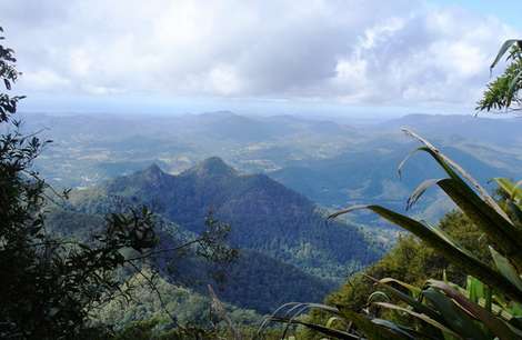 Долина Mount Warning