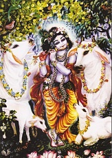 Krishna Book 2