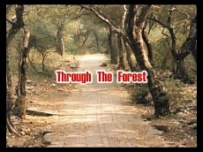 Холмы Варшаны - Обитель Шримати Радхарани