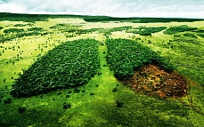 Экология и мировоззрение