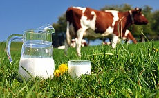 Цивилизованные люди должны производить молочные продукты