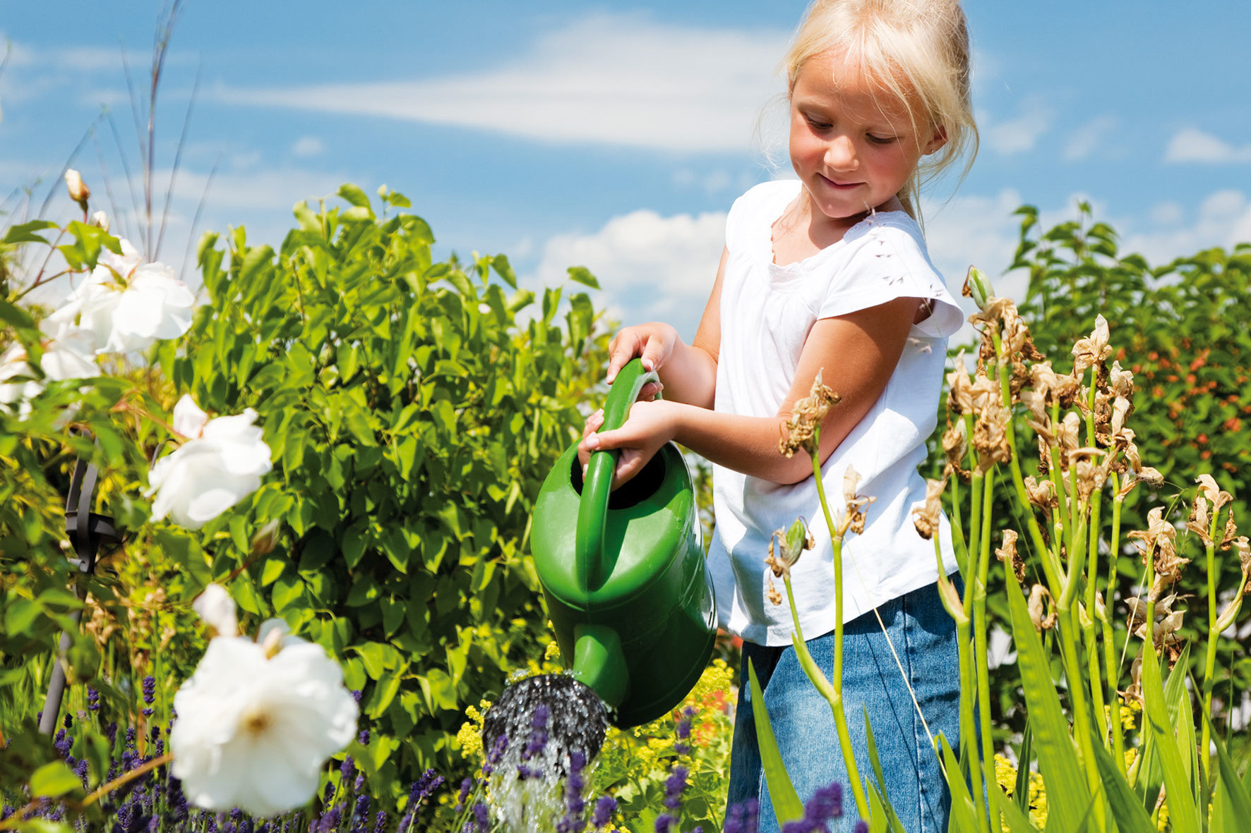 Растение друзья человека. Девочка поливает цветы. Огород для детей. Растения сада для детей. Дети помогают в огороде.
